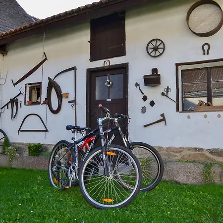 Prázdninový dům Honza S Wellness *